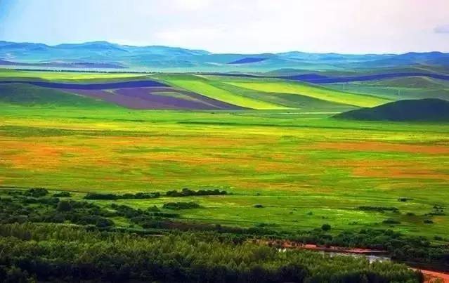 南航在职空姐月野兔