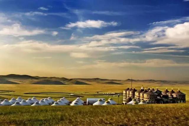 电影5个热门故事 片中鹦鹉帝国隐喻军国主义