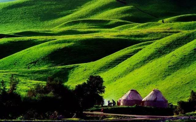 鱿鱼游戏美圆和花