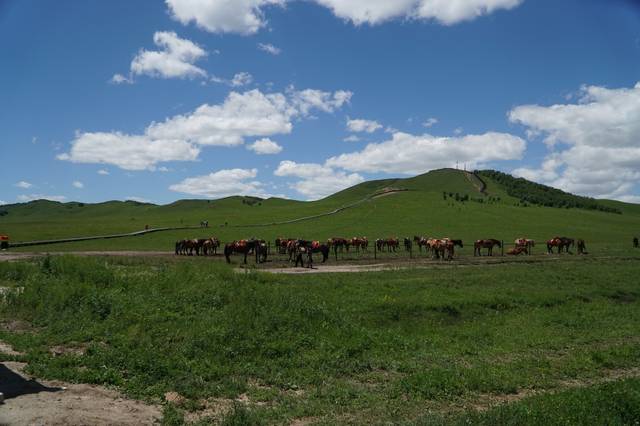 烂番茄 烂番茄新鲜度可能只有50%