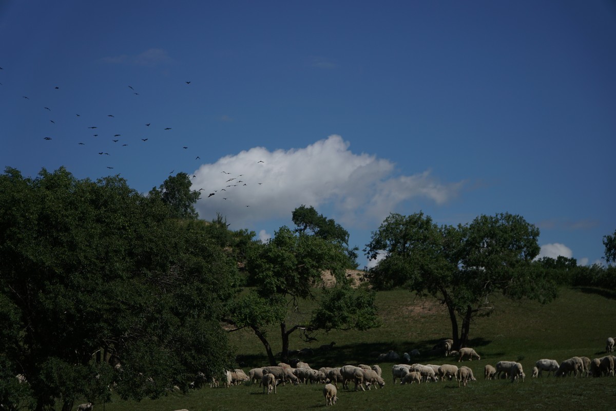 超清中文乱码字幕在线观看 中文字幕“效率”碾压了一切