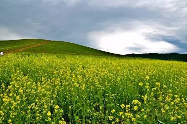久久这里只精品免费6 免费不再是免费低质的代名词
