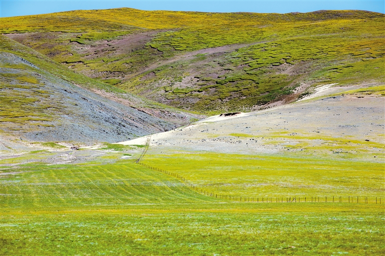 日本最强rapper免费