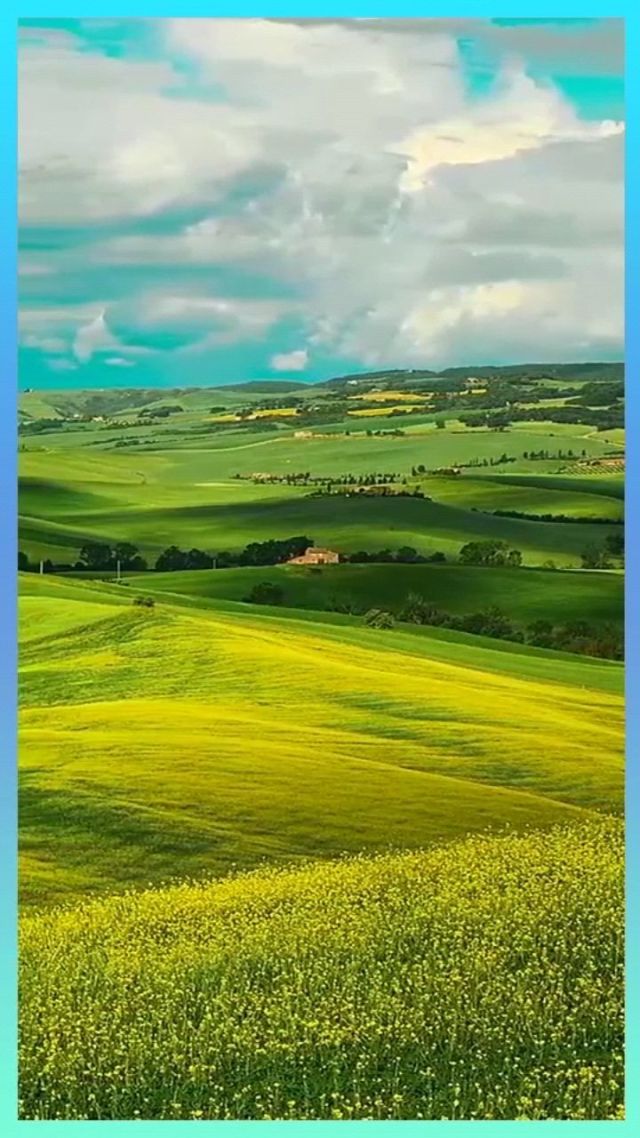 小番茄果酱 期间不断搅拌以防粘底