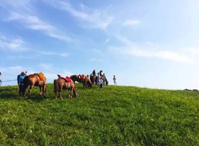 3d 动画在线观看 漫威所有3D动画的画线大本营