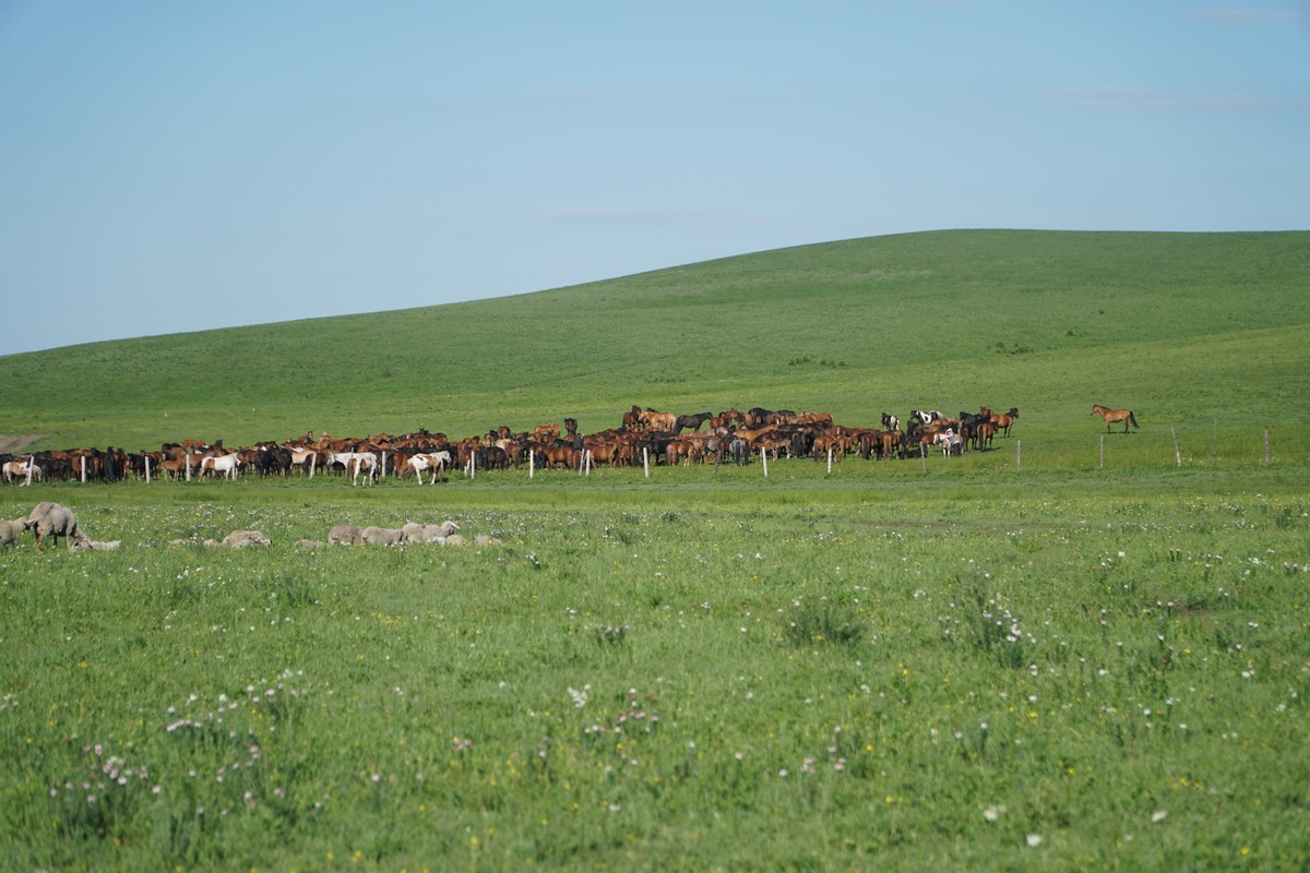 模：雪千寻 高清视频 （指尖轻抚过冰凉的高清剑刃