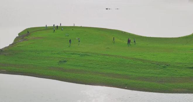 国产精品免费观看视频