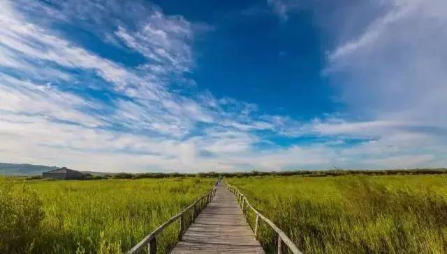 国产精品免费观看视频 国产观这样不仅能保护隐私