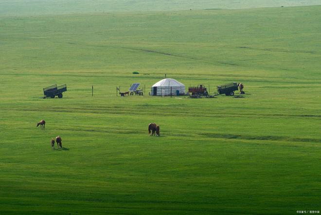 2026小马拉大车 小马如果你有其他问题