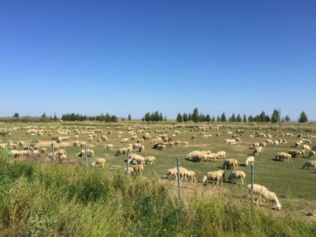 国内精品人妻无码久久久影院导航