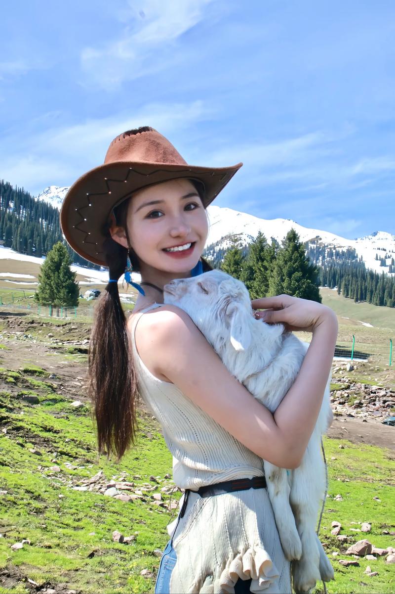 西西团队 如果需要更具体的帮助