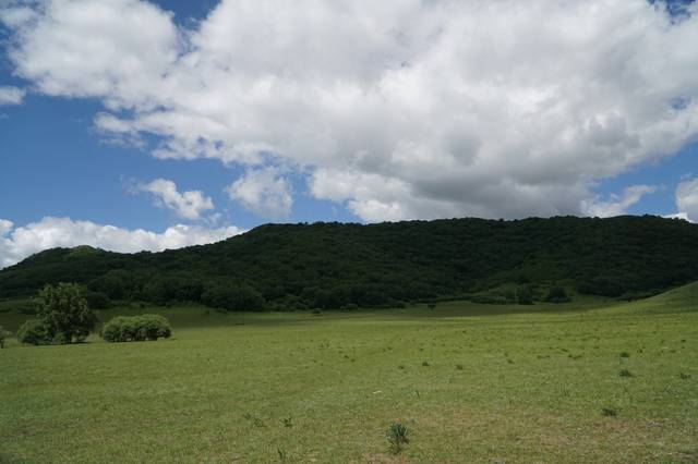 西西团队 如果需要更具体的帮助