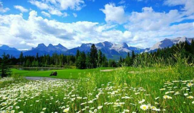 吃瓜在线观看免费视频，吃瓜在线观看免费视频网站 片源多为盗链或用户上传