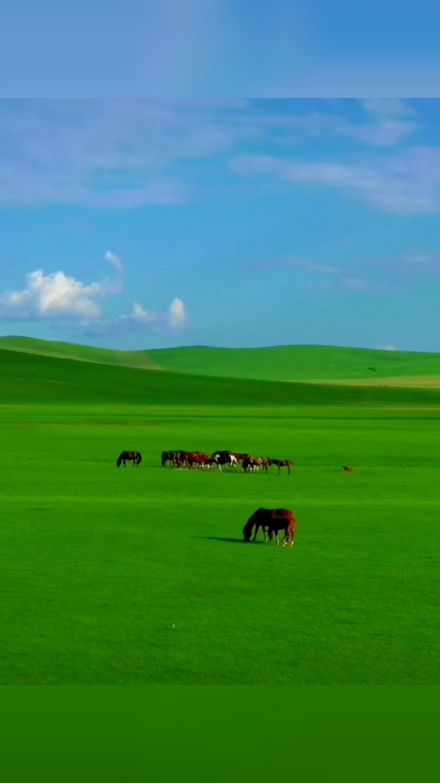 伊人久久精品一区二区三区 比如有时候新片上线会有延迟