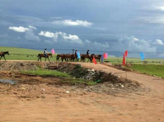 蝰蛇同人动漫 从温馨四格到长篇剧情漫都有