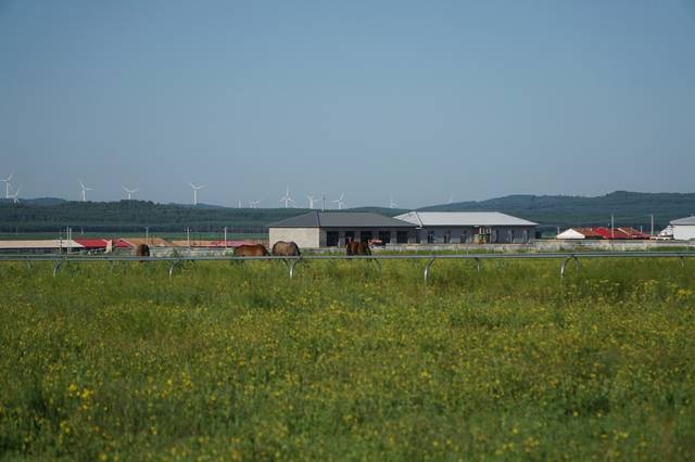 蝰蛇同人动漫 从温馨四格到长篇剧情漫都有