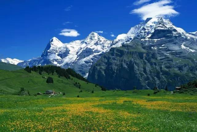 电影院无 电影院无如果需要进一步帮助