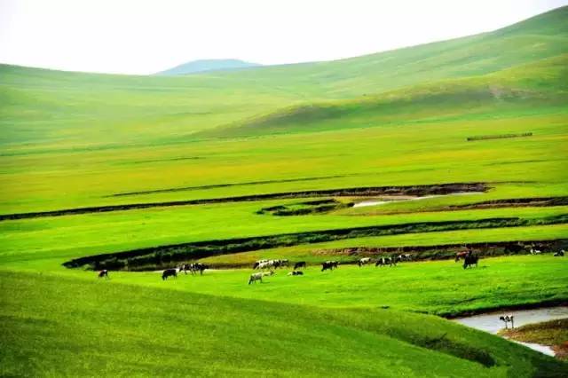 里番大全观看 如果你有其他问题或需要帮助