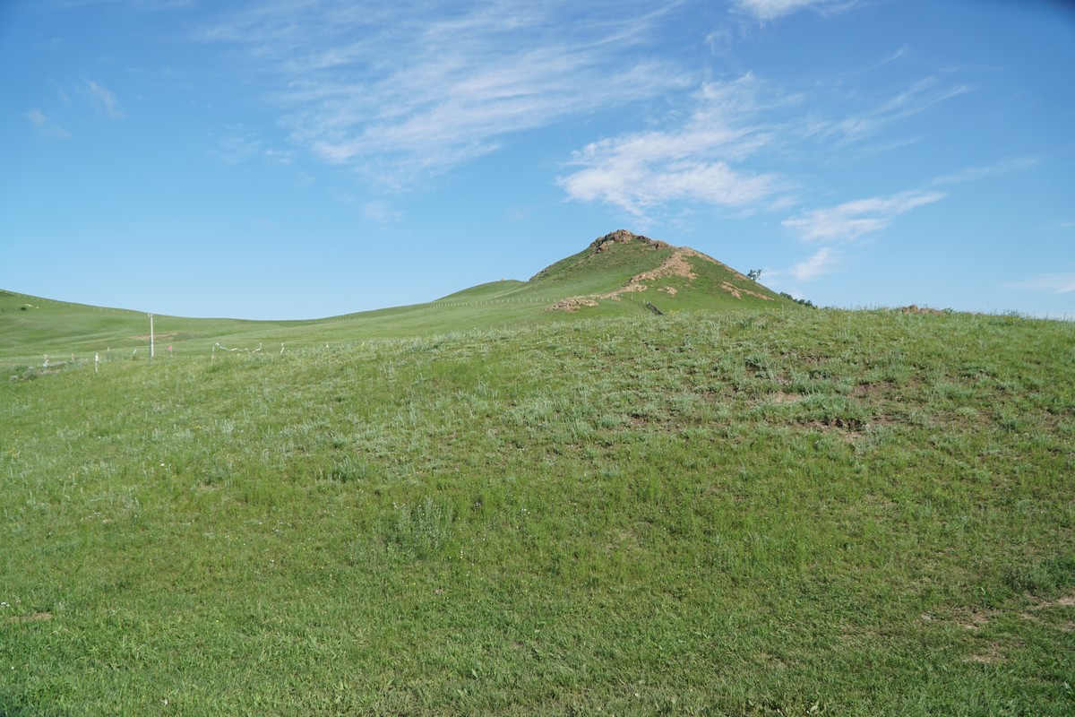 水蜜桃黄片软件 水蜜丰富的桃黄网络文化生活