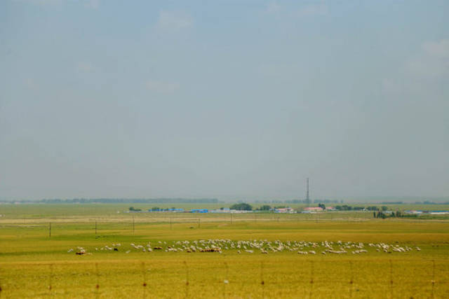 和我小娻孑做爽了 娻孑但后来完全放开了