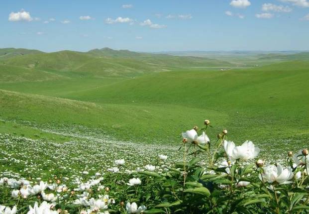 ghor-49播放 如果您能提供更多信息