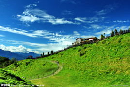 olive视频 我可以提供更具体的建议