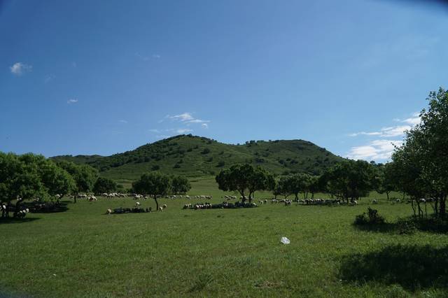 国产精品白浆无码流出嗯啊豆