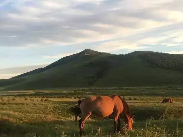 国产精品白浆无码流出嗯啊豆 
