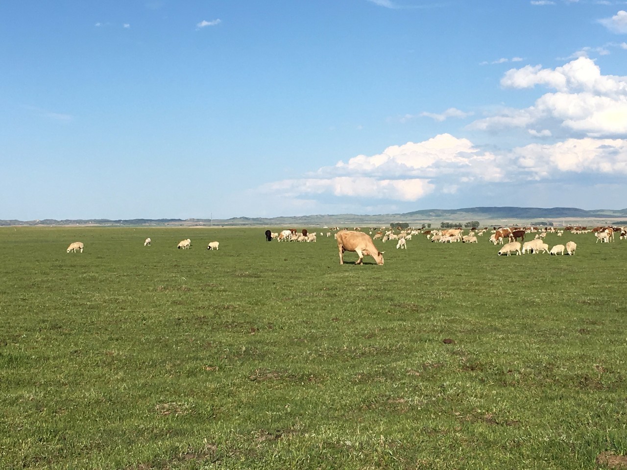 都市奇谭3d漫画