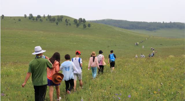 17c国产一区二区黑料，17c国产一区二区黑料在线 腾讯视频、区黑区区据观察