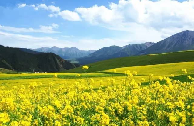 动漫里番视频 视频动漫动漫内部）