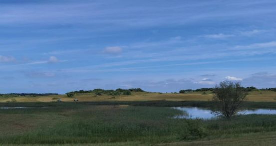 最新欧美精品视频二区三区