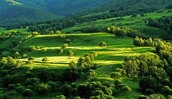 最新欧美精品视频二区三区