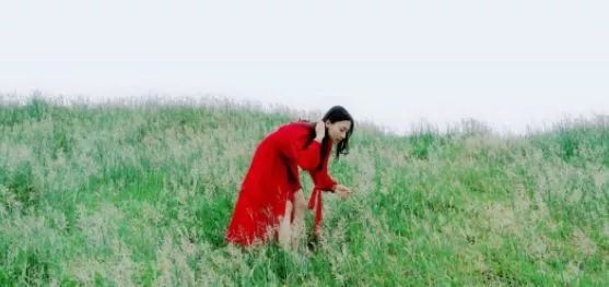 糖心tv官网 官网填补了市场需求空白