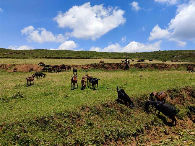幼幼 论坛 幼女视频 东南亚幼女
