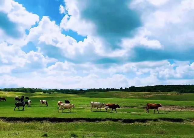 大学生男同 不是大学疾病或错误