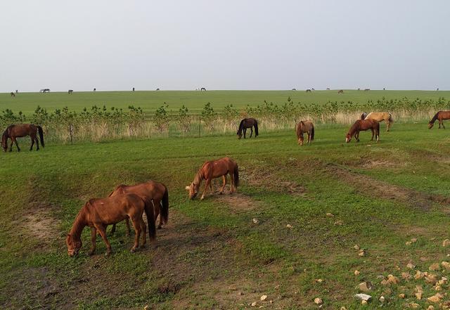 大学生男同 不是大学疾病或错误