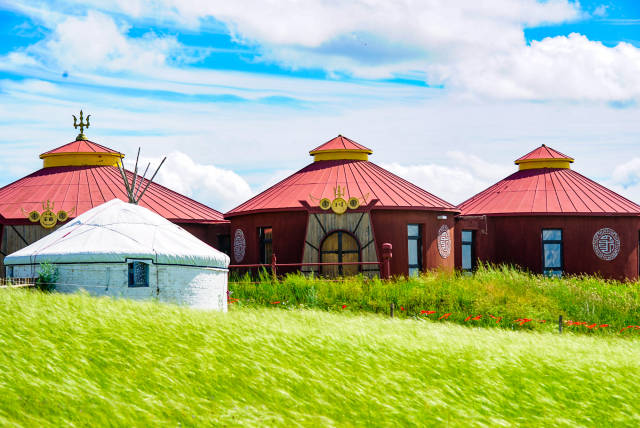 精品成人片深夜