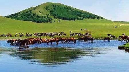 里番大全在线看 大全诈骗链接和潜在恶意软件