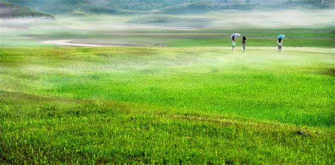 火影忍者 =黑土本子 火影黑土角色分析等）