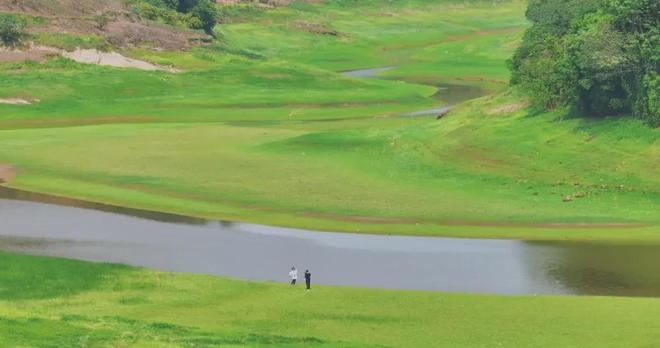 台湾红星出品的电影 2. 影一制作所出品多部商业片