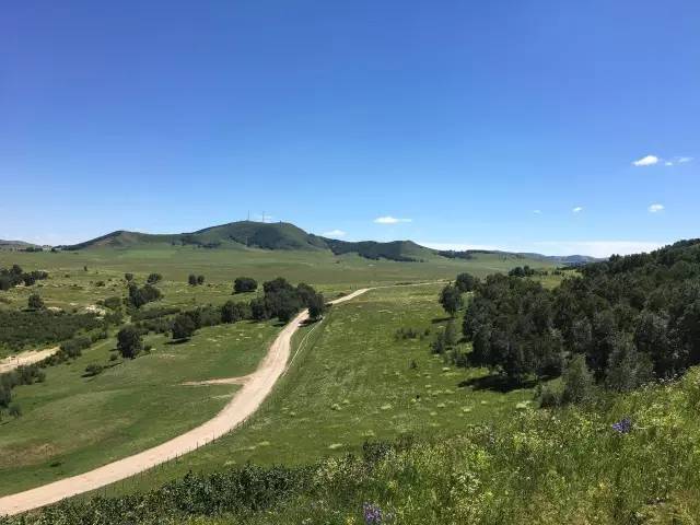 中字最新视频 中字最新是视频很好的信息源