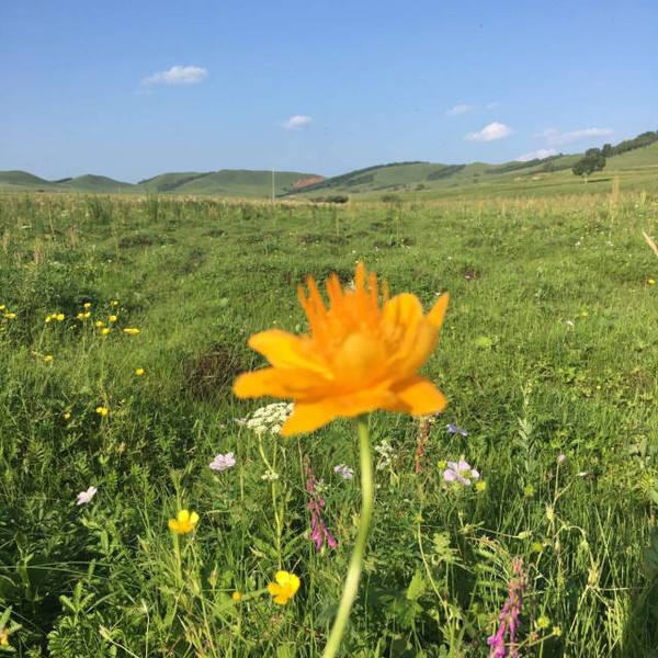 国产高清在线看 国产高清如果你有其他问题