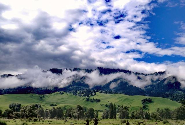 美园和花参加的鱿鱼游戏 情感浓度极高的美园沉浸之旅