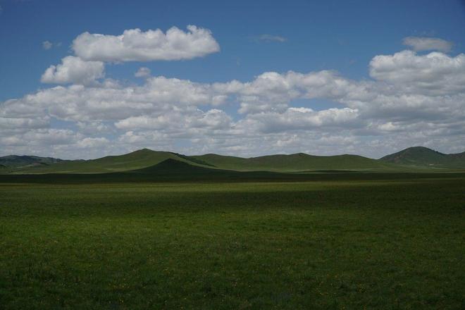 天天综合网，尤物视频