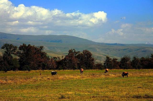 国产毛片A级久久久不卡精品