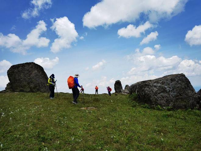 国产日韩精品欧美2020区