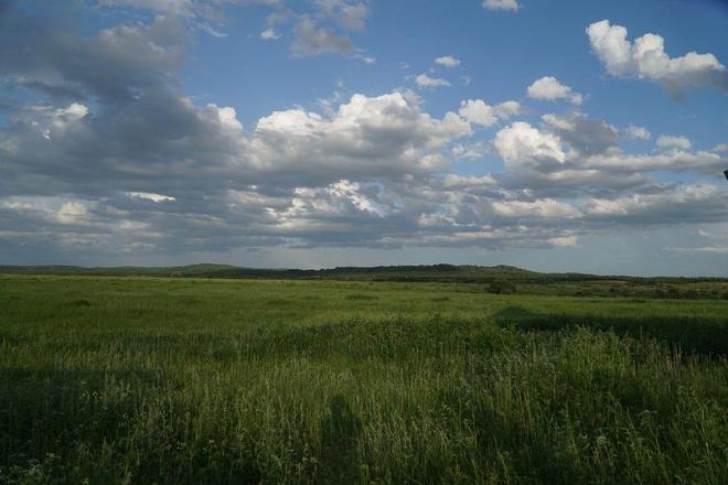 夜色影视在线观看