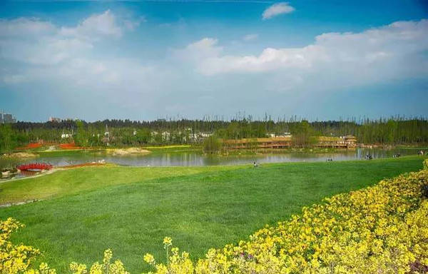 新年快乐视频 快乐我会为你细化建议