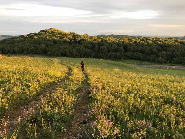 新年快乐视频 快乐我会为你细化建议